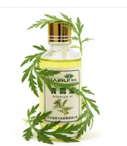Wholesale 100% Pure Natural Artemisa Essential Oil