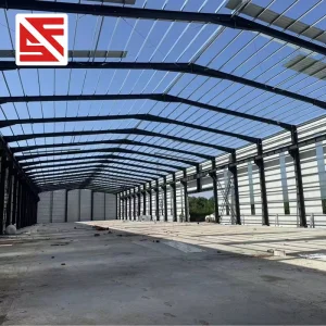 Foshan Factory Customized Steel Structure Building Fast Install