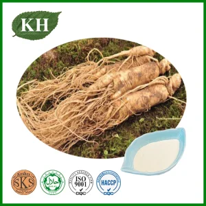 Extrato de Panax Ginseng Livre de Pesticidas Ginsenosídeos