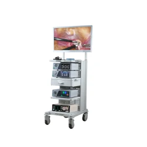 4K Video Camera Endoscopy System for Laparoscopic Surgery