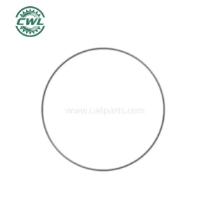 Gear O-Ring