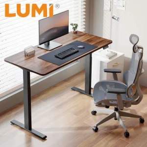 Cheap Modern Home Office Height Adjustable Table Single Motor Ergonomic Sit Stand up Electric Computer Laptop Standing Desk