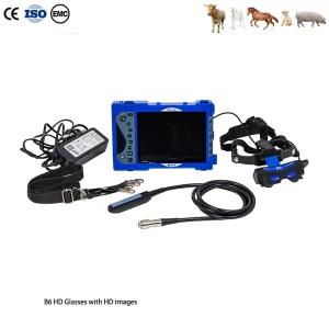 Bxl-V60 Máquina de ultrasonido portátil para caballos y cabras con HD 2D/3D Gafas