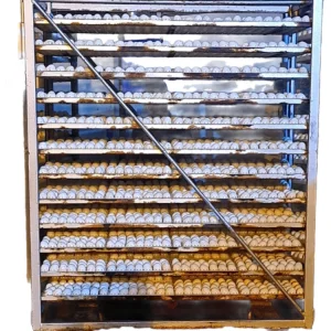 Automatic Chicken Egg Incubator