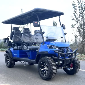 CE Approved Golf Cart