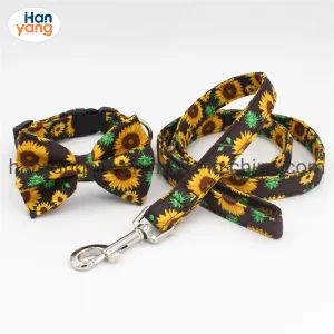 Floral Pet Collar