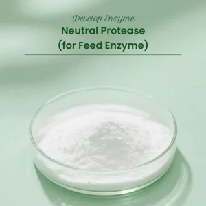 Halal Feed Grade Neutral Protease Enzyme Improve Protein Utilization and Animal Growth