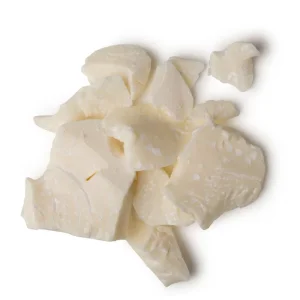 Natural Shorea Stenoptera Seed Butter for Moisturizing and Nourishing Skincare Formulations (CAS 91770-65-9)