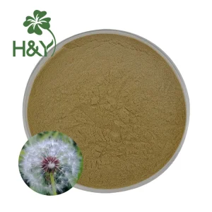 Dandelion Extract Powder