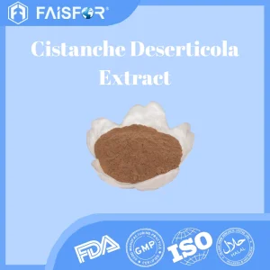 Extrato de Cistanche Deserticola de Alta Potência para Soluções Herbais Avançadas