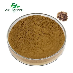 Bulk Price Maitake Mushroom Extract Powder 50% Polysaccharide
