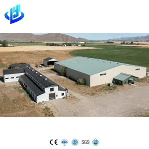 Custom Modern Steel Structure Agricultural Workshop