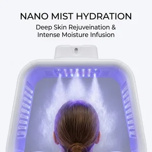 Detachable 093 Double Hole Cold Mist Facial Steamer 7 Colors Led Photon Therapy Acne Treatment Anti Aging Beauty Machine
