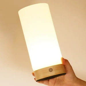 Wooden book light