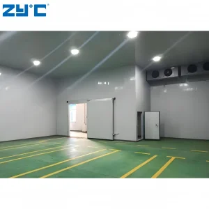 Industrial Cool Rooms and Freezer Room Blast Freezer Container Walk in Freezer Refrigeration Unit Cold Storage