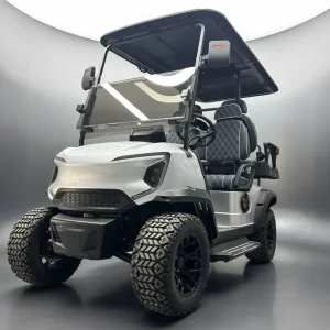 Luxury 4 Seater