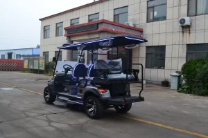 6-Seat Independent Suspension Electric Golf Cart