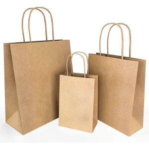 Bulk Supply Eco-Friendly Paper Bags &ndash; Ideal for Shopping, Food Takeaways &amp; Retail Packaging from Top Listed India Origin Vendor