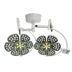 Luxury Dual-Dome LED Surgical Light High-Definition Illumination