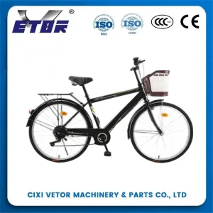 CT200 Mountain Bike