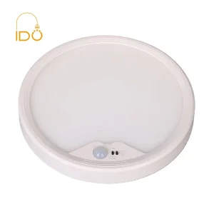 Motion Sensor Light