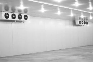 Xingx Industrial Cold Room