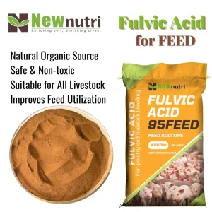 Natural Fulvic Acid for Better Feed Efficiency Feed-Grade Animal Nutrition