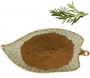 Natural Antioxidant Food Grade Herbal Extract 20% 30% 10:1 Rosmarinic Acid Rosemary Leaf Extract Powder in Bottle