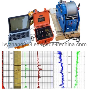 Borehole Density Logging Equipment Electrical Logging System Natural Gamma Logger Temperature Logging Caliper Logging System Geophysical Logging Tools