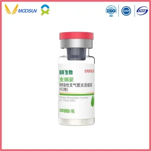 High Quality Animal Live Vaccine Infectious Bronchitis (IB) (Strain H52) GMP Factory