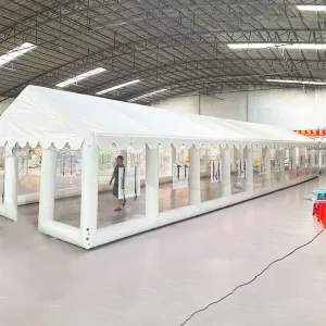 Camping Bubble Tent