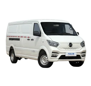 Pure Electric Bev Cargo Pick up Commercial Van for Sale