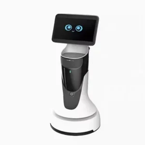 Humanoid Robot