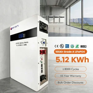 Wall Mounted Battery