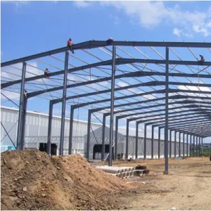 HCMC Waterproof Plant