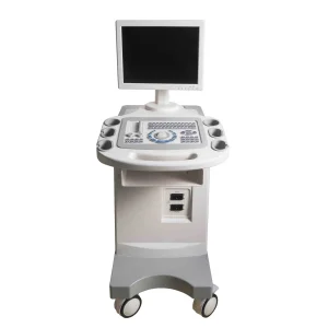 Ultrasound System