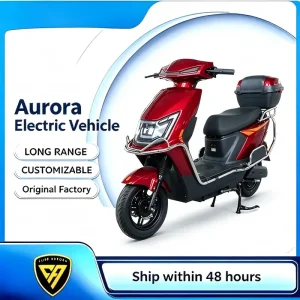 OEM European Standard City Commuter E-Scooter