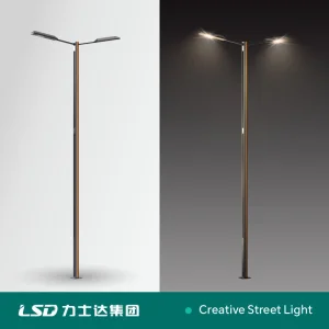 Direct Sale Two Arm Waterproof IP68 Die-Casting Aluminum Housing 250W LED Street Light Road Lamp Pole Customization