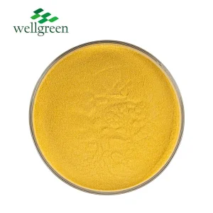Polvo de mango rico en vitamina A para bocadillos saludables y suplementos dietéticos con antioxidantes