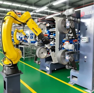 Robotic Polishing