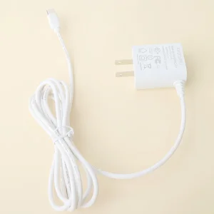 Ultra Compact 5V 2A Type-C Travel Wall Charger for Fast Charging