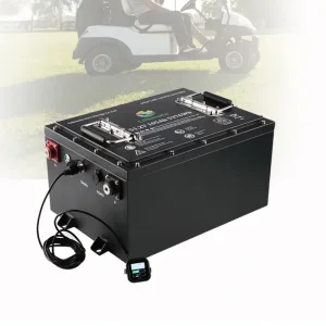 Electric Vehicle Battery