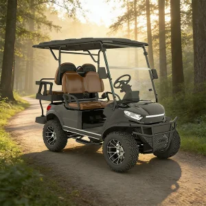2 Seater Comfort Golf Cart