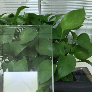 5mm Clear Curved Tempered Glass for Building Glass