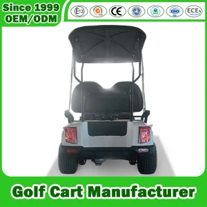 Carrinho de Golfe 4 Passageiros Gasolina