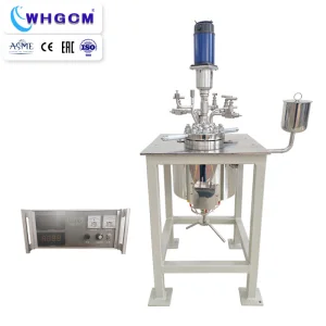 Customized 1L Stainless Steel Autoclave for High Pressure Lab Use