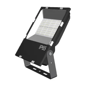 Flood Light 100w IP65