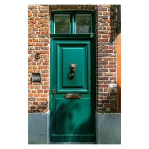 Ace Customized Personalized Wooden Door Competitive Price Household Individual and Commercial