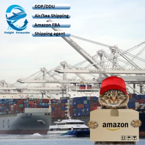 Cheap Sea Express Logistics China to Arab UAE with Amazon Fba Service