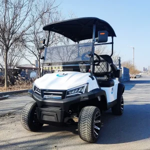 Off Road Custom Golf Cart